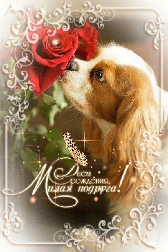 Красивые открытки с пожеланиями на день рождения подруге скачать бесплатно.