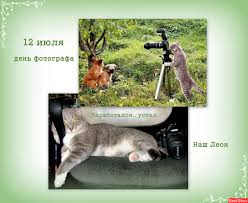 Поздравительные открытки с днем фотографа скачать бесплатно.