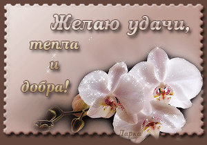 Открытки желаю удачи скачать бесплатно. Красивые открытки с пожеланиями удачи.