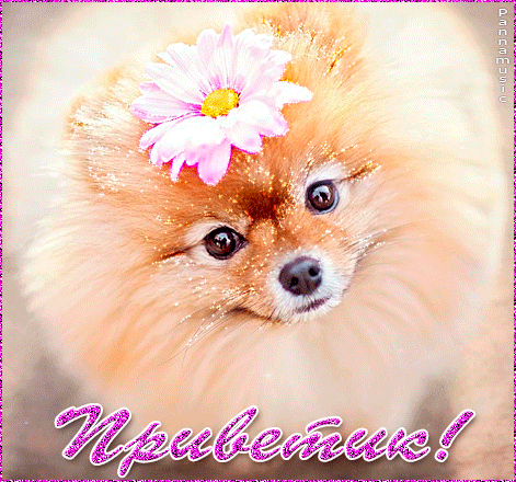 Красивые анимационные открытки с различными приветствиями скачать бесплатно.