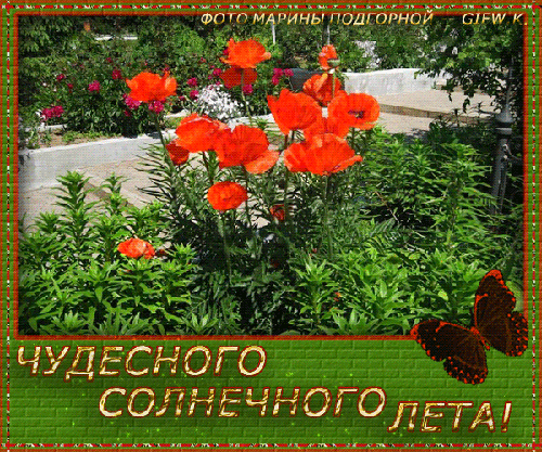 Скачать бесплатно открытки хорошего лета. Открытки с пожеланиями хорошего лета.