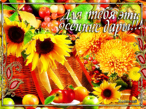 Оригинальные открытки с изображением осени. Открытки осень скачать бесплатно.