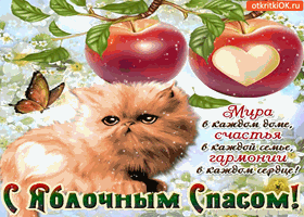 Открытки с яблочным спасом скачать бесплатно. Открытки с яблочным спасом gif. 