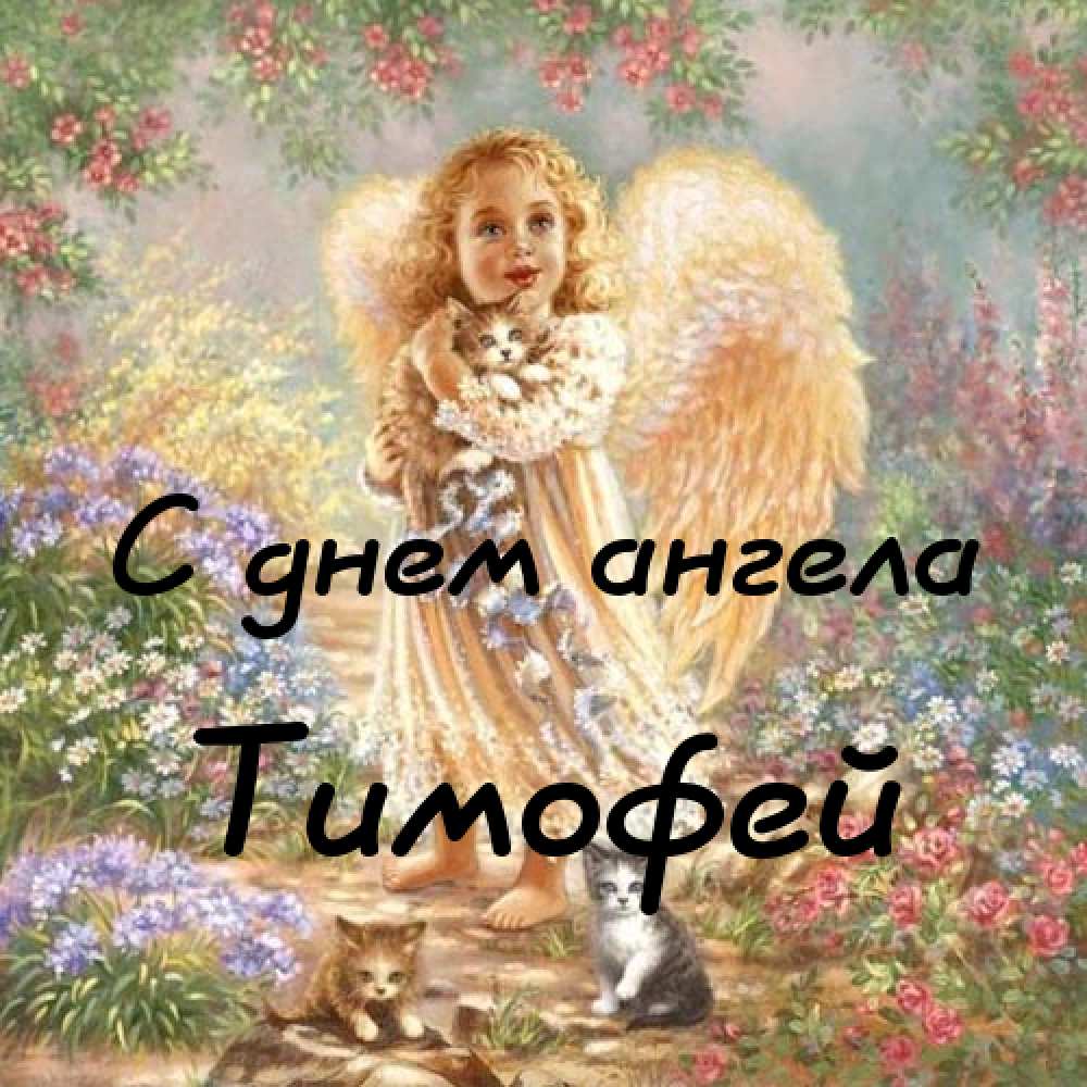 Анимационные открытки с именем Тимофей. Открытки с мужскими именами с поздрав...