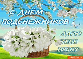 Красивые открытки с днем подснежника. Открытки с днем подснежников скачать бе...