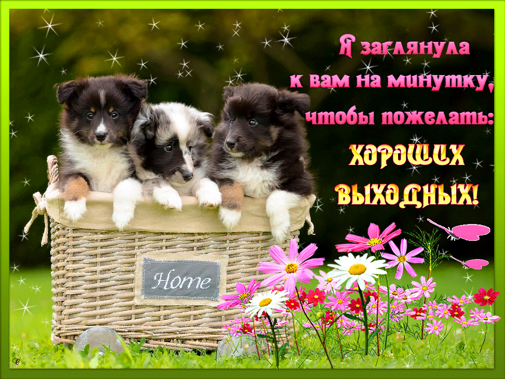 Открытки Красивые открытки замечательных выходных. Открытки хороших выходных скачать бесплатно. Открытки хороших выходных мужчине. Веселые картинки отличных зимних выходных. Открытки отличной субботы. Гифки на выходные. Скачать бесплатно открытки хороших выходных.