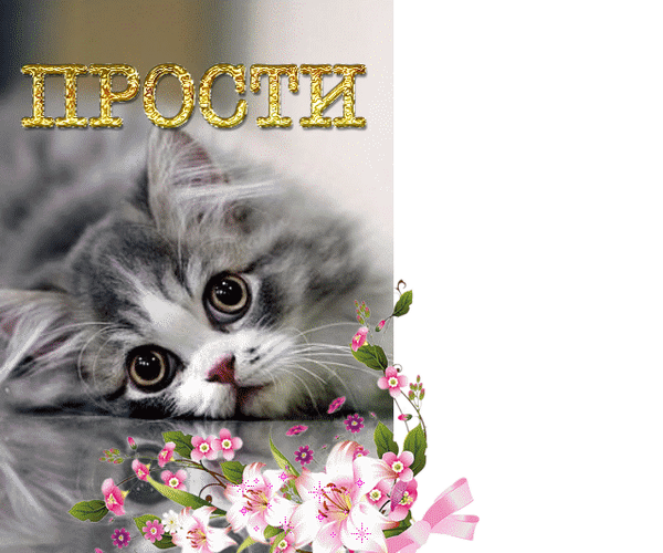 Красивые открытки с извинениями скачать бесплатно. Открытки прости меня gif.