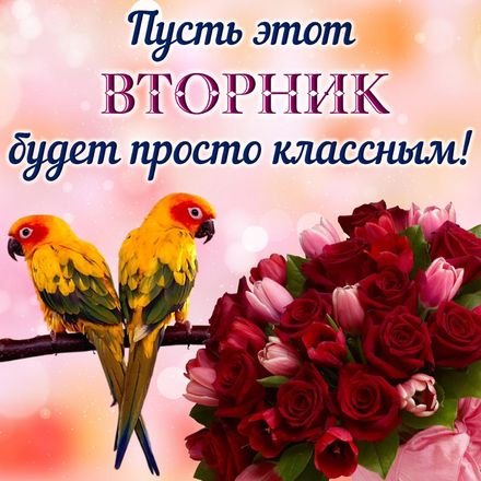 Позитивные открытки на вторник. Картинки про вторник скачать бесплатно.