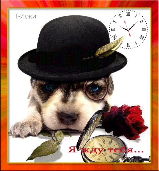 Открытки я жду тебя gif. Открытки возвращайся скорее скачать бесплатно.