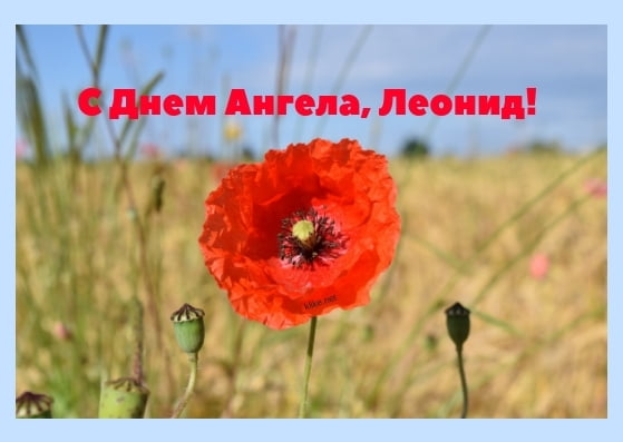 С днём рождения Леонид открытки. Открытки с именем Лёня скачать бесплатно.