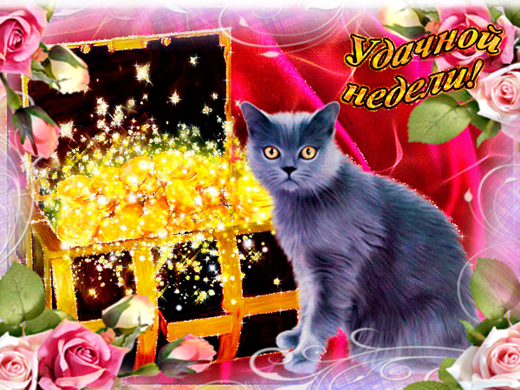 Забавные открытки с пожеланиями удачной недели. Открытки удачной недели скача...