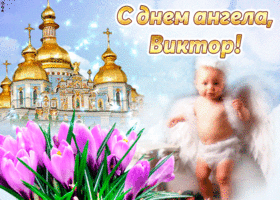 Открытки Скачать открытки с именем Витя. Открытки с днём рождения Виктору. Мерцающие открытки с именем Виктор. Открытки с приколами на имя Витя. Картинки с именем Виктор скачать бесплатно. С днем рождения Витюша картинки на вотсап.