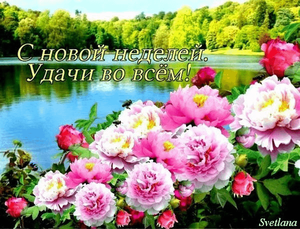 Открытки желаю удачи скачать бесплатно. Красивые открытки с пожеланиями удачи.