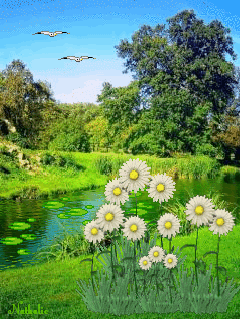 Открытки на тему осени скачать бесплатно. Анимационные открытки про лето.