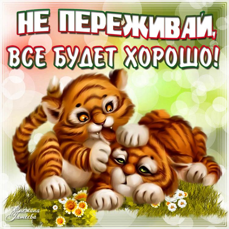 все будет хорошо картинки прикольные смешные с надписью очень удачно расположен