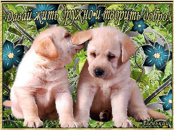 Красивые анимационные открытки давай дружить скачать бесплатно.