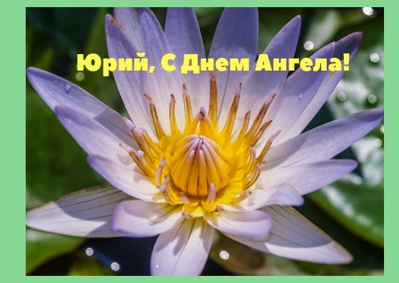 Скачать открытки с именем Юра. С днём рождения Юрий открытки. Поздравительные...