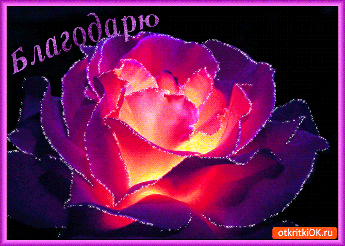 Анимационные открытки с благодарностью. Открытки спасибо скачать бесплатно.