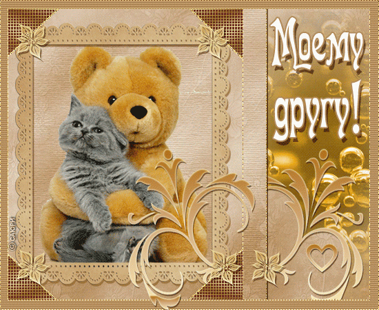 Красивые открытки для любимых друзей. Открытки о дружбе скачать бесплатно.