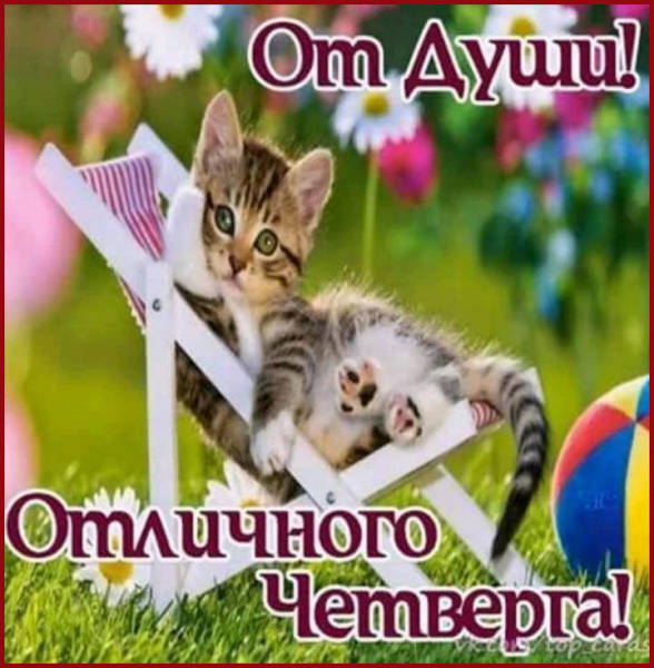 Открытки отличного четверга скачать бесплатно. Прикольные открытки на четверг...