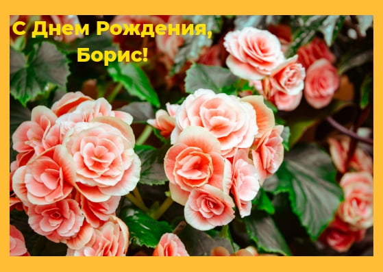 Открытки с днём рождения Борис. Красивые открытки с мужскими именами.