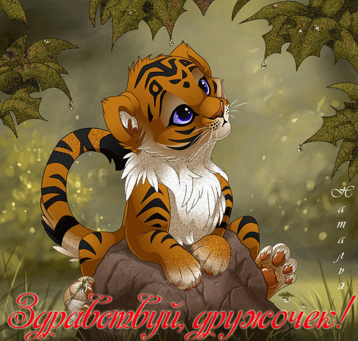 Красивые анимационные открытки с различными приветствиями скачать бесплатно.