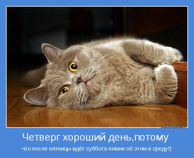 Открытки отличного четверга скачать бесплатно. Прикольные открытки на четверг...