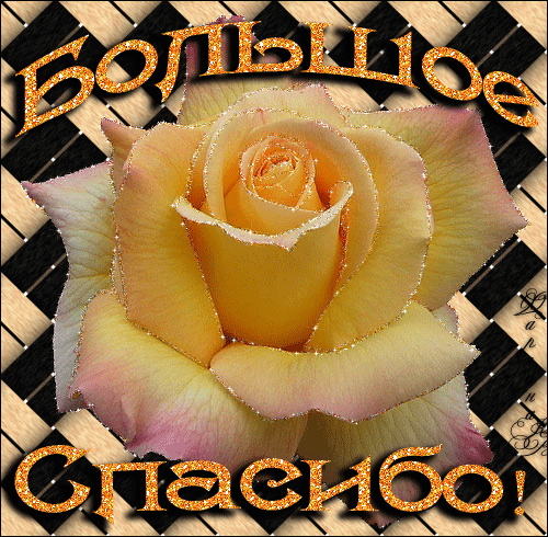 Анимационные открытки с благодарностью. Открытки спасибо скачать бесплатно.