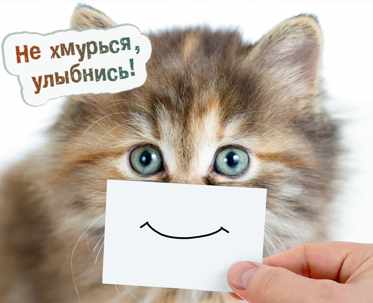 Весёлые открытки с пожеланиями улыбнись. Открытки с улыбкой скачать бесплатно.