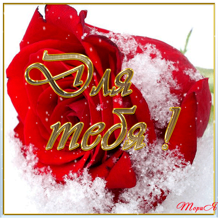 Красивые открытки для тебя скачать бесплатно. Анимационные открытки тебе gif