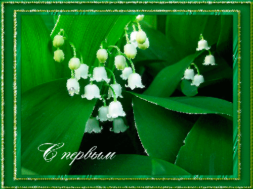 Красивые открытки с первым днем весны. Открытки с первым днем весны скачать б...