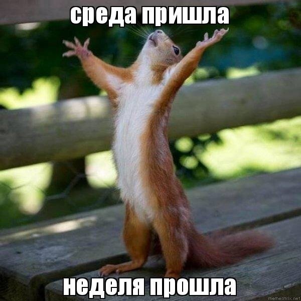 Открытки с пожеланиями отличной среды. Красивые открытки на среду.