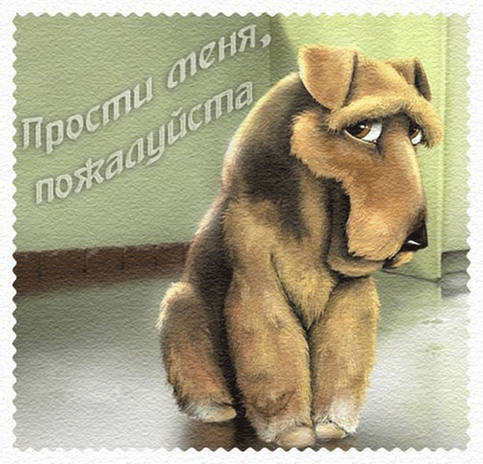 Картинки с извинениями женщине