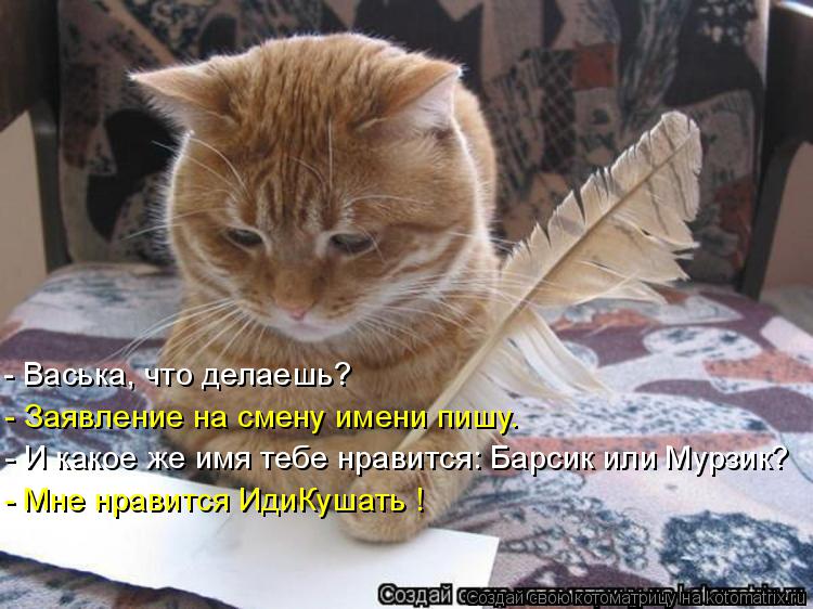 Анимационные открытки с именем Василий. Открытки с днём рождения Вася.