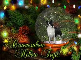 Лучшие праздничные открытки с поздравлениями на Новый Год скачать бесплатно.