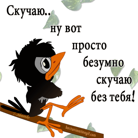 ты совсем не скучаешь по мне картинки прикольные они