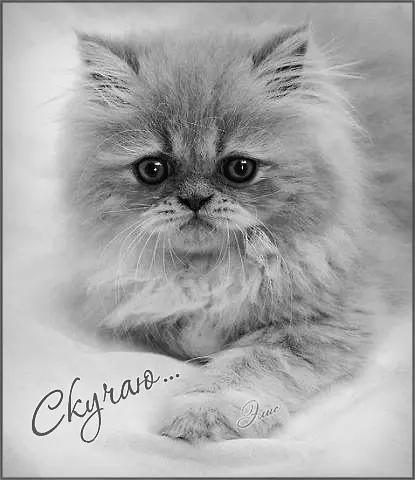 Анимационные открытки скучаю по тебе. Открытки я так скучаю скачать бесплатно.