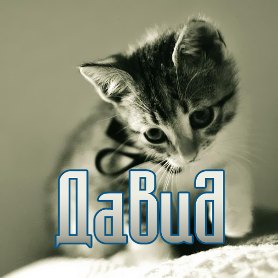 Открытки с именем Давид скачать бесплатно. Открытки с именем Давид gif.