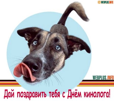 Открытки с пожеланиями на день кинолога скачать бесплатно.    