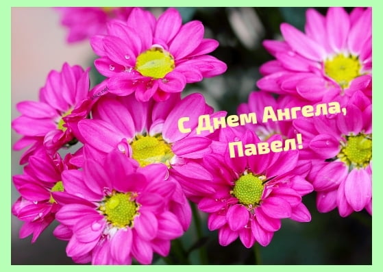 Анимационные открытки с именем Павел. Открытки с именем Паша. С днём рождения...