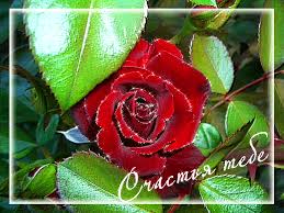 Скачать бесплатные открытки желаю счастья. Открытки желаю счастья с анимациями.