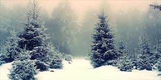 Анимационные открытки с зимним пейзажем. Открытки времена года. Новогодние от...