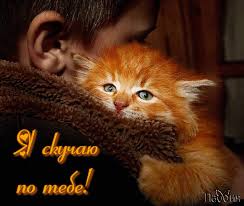 Анимационные открытки скучаю по тебе. Открытки я так скучаю скачать бесплатно.