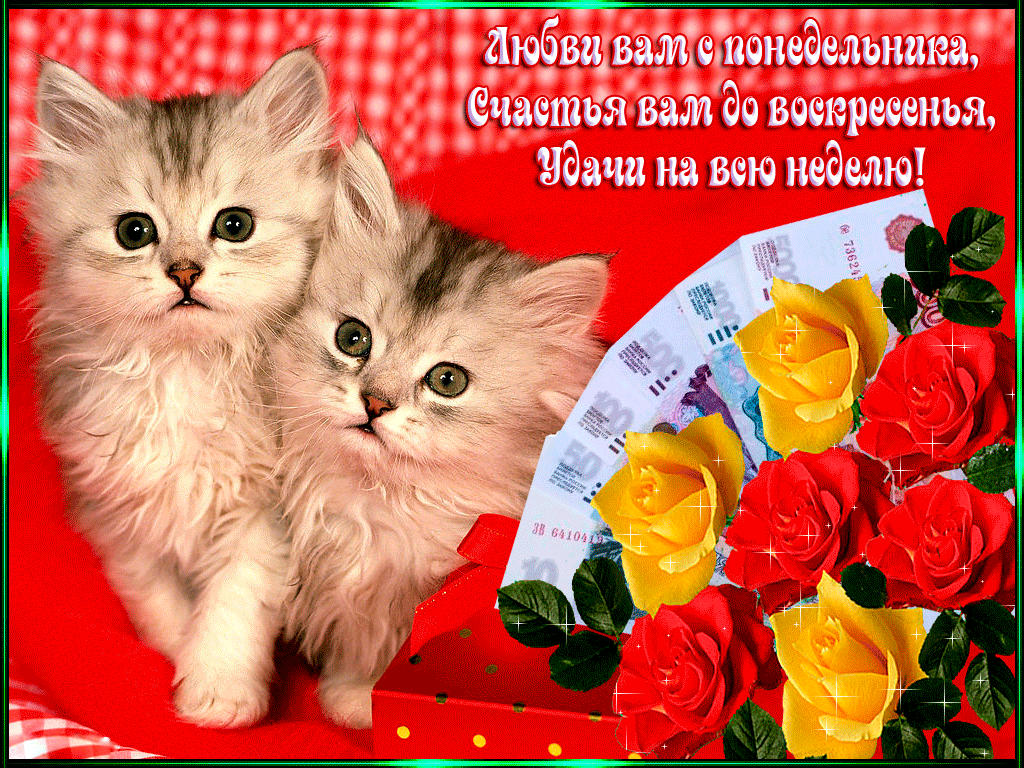Забавные открытки с пожеланиями удачной недели. Открытки удачной недели скача...