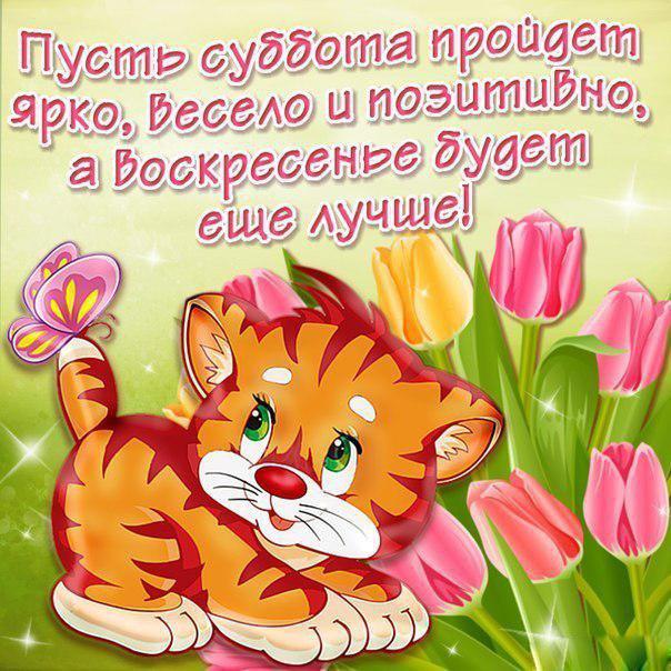 Интересные открытки на субботу. Веселые открытки на выходные.