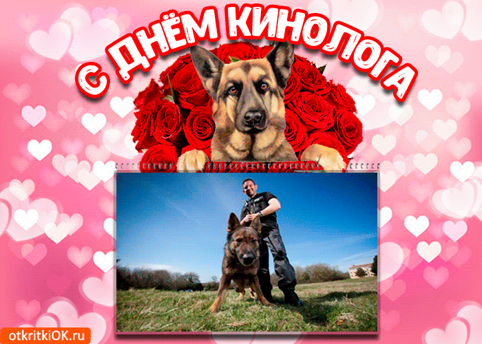 Открытки с пожеланиями на день кинолога скачать бесплатно.    