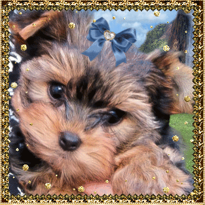 Позитивные открытки на вторник. Картинки про вторник скачать бесплатно.