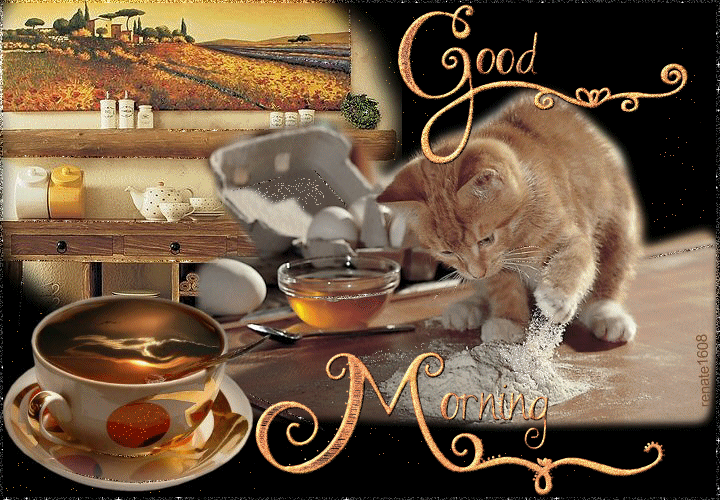 Открытка с пожеланиями доброго утра на каждый день скачать бесплатно 