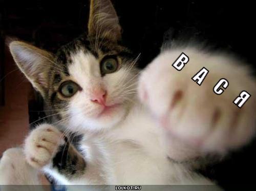 Анимационные открытки с именем Василий. Открытки с днём рождения Вася.