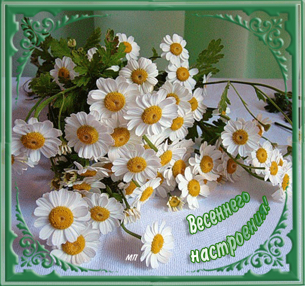 Красивые мерцающие открытки на весеннюю тематику. Скачать бесплатно открытки с весной.